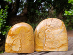 Polished Picture Stone Jasper Standing Display Pieces x 2 From Ais-Ais, Namibia - Toprock Gemstones and Minerals 