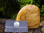 Polished Picture Stone Jasper Standing Display Pieces x 2 From Ais-Ais, Namibia - Toprock Gemstones and Minerals 