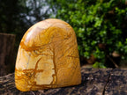 Polished Picture Stone Jasper Standing Display Pieces x 2 From Ais-Ais, Namibia - Toprock Gemstones and Minerals 