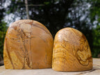 Polished Picture Stone Jasper Standing Display Pieces x 2 From Ais-Ais, Namibia - Toprock Gemstones and Minerals 