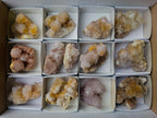 Natural Mix of Spirit Quartz Clusters x 12 From Boekenhouthoek, South Africa - Toprock Gemstones and Minerals 