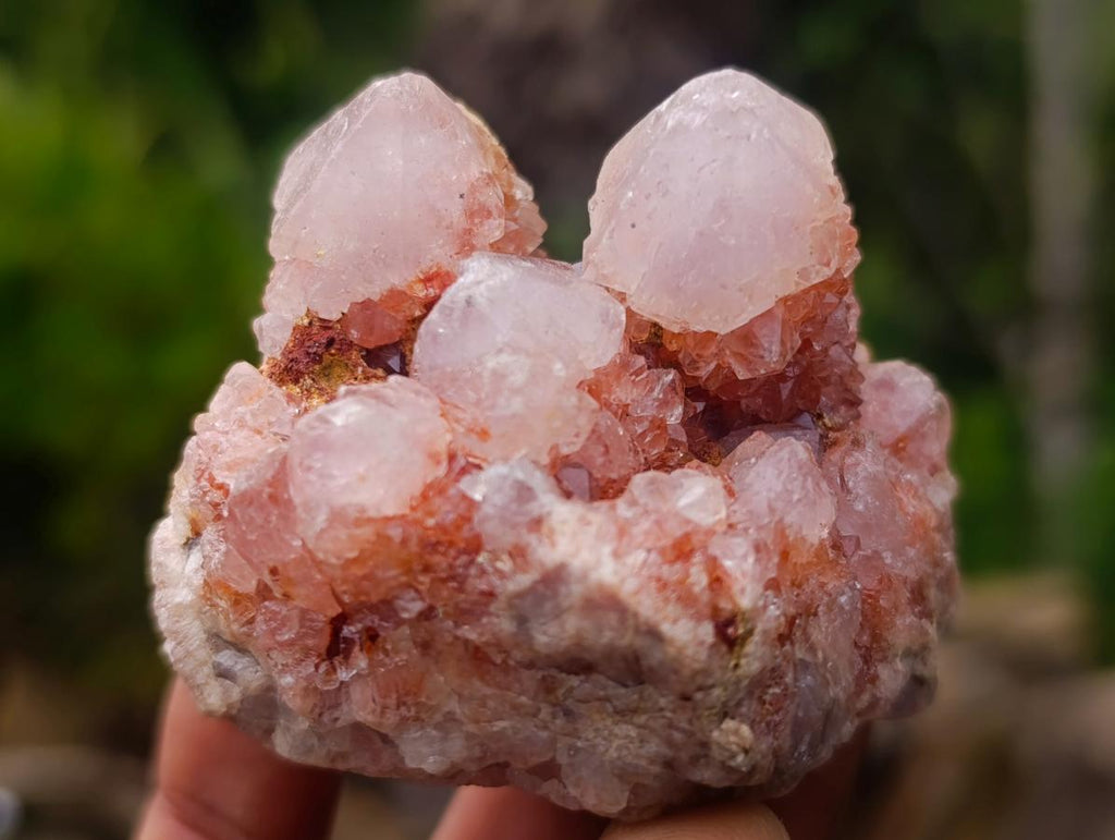 Natural Mix of Spirit Quartz Clusters x 12 From Boekenhouthoek, South Africa - Toprock Gemstones and Minerals 