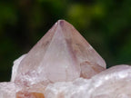 Natural Mix of Spirit Quartz Clusters x 12 From Boekenhouthoek, South Africa - Toprock Gemstones and Minerals 