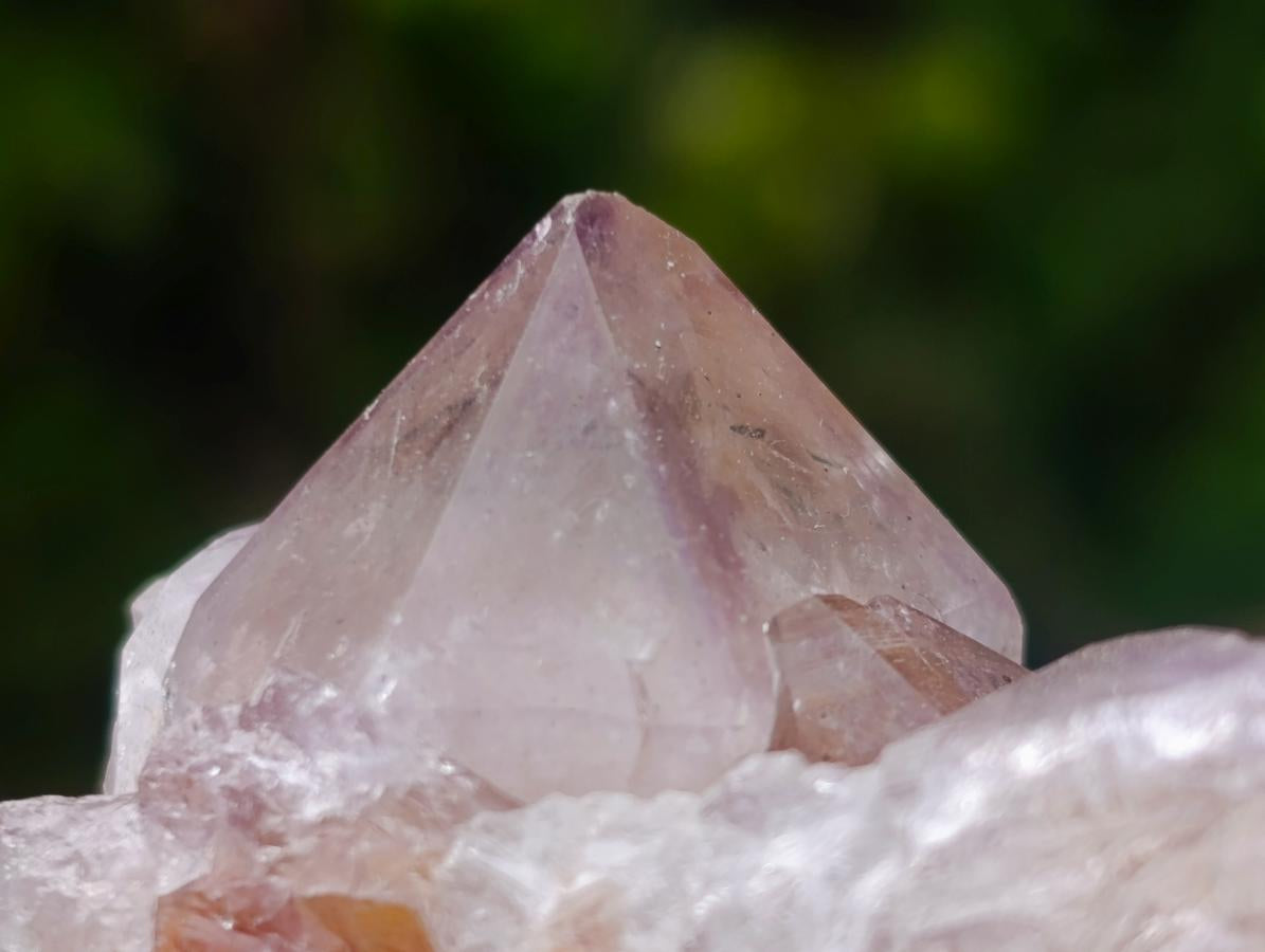 Natural Mix of Spirit Quartz Clusters x 12 From Boekenhouthoek, South Africa - Toprock Gemstones and Minerals 