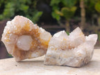 Natural Mix of Spirit Quartz Clusters x 12 From Boekenhouthoek, South Africa - Toprock Gemstones and Minerals 