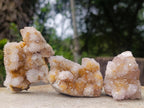 Natural Mix of Spirit Quartz Clusters x 12 From Boekenhouthoek, South Africa - Toprock Gemstones and Minerals 