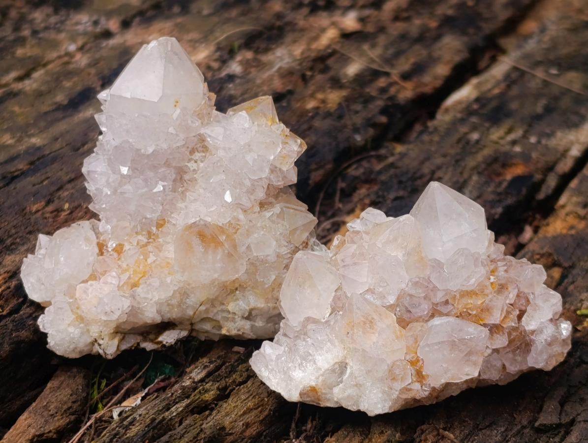Natural Mix of Spirit Quartz Clusters x 12 From Boekenhouthoek, South Africa - Toprock Gemstones and Minerals 