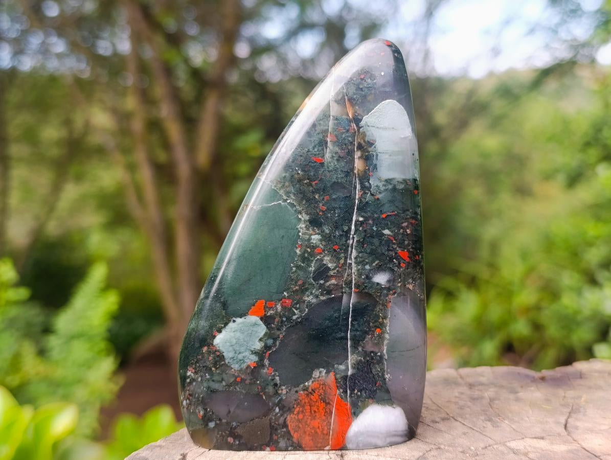 Polished Bloodstone Standing Free Forms x 2 From Swaziland - Toprock Gemstones and Minerals 