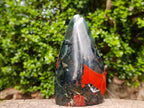 Polished Bloodstone Standing Free Forms x 2 From Swaziland - Toprock Gemstones and Minerals 