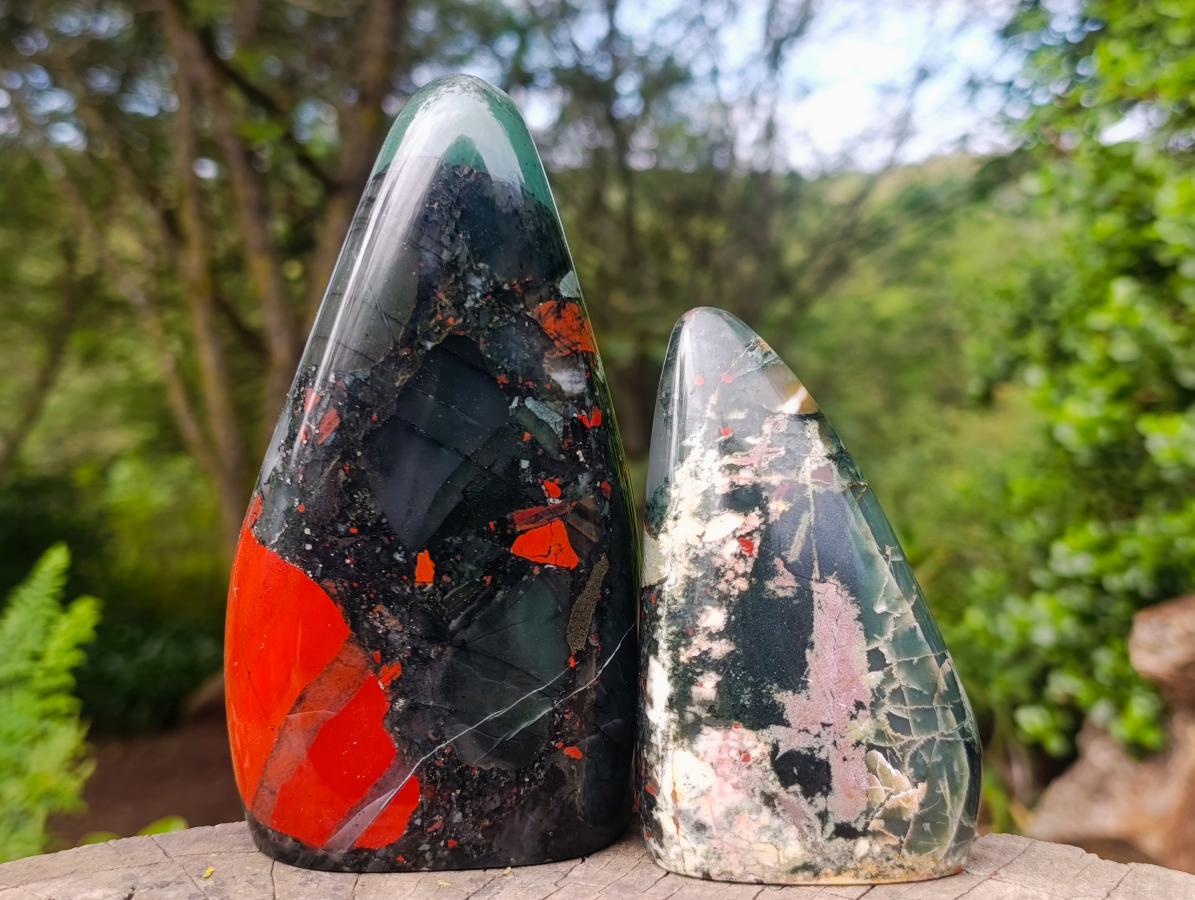 Polished Bloodstone Standing Free Forms x 2 From Swaziland - Toprock Gemstones and Minerals 