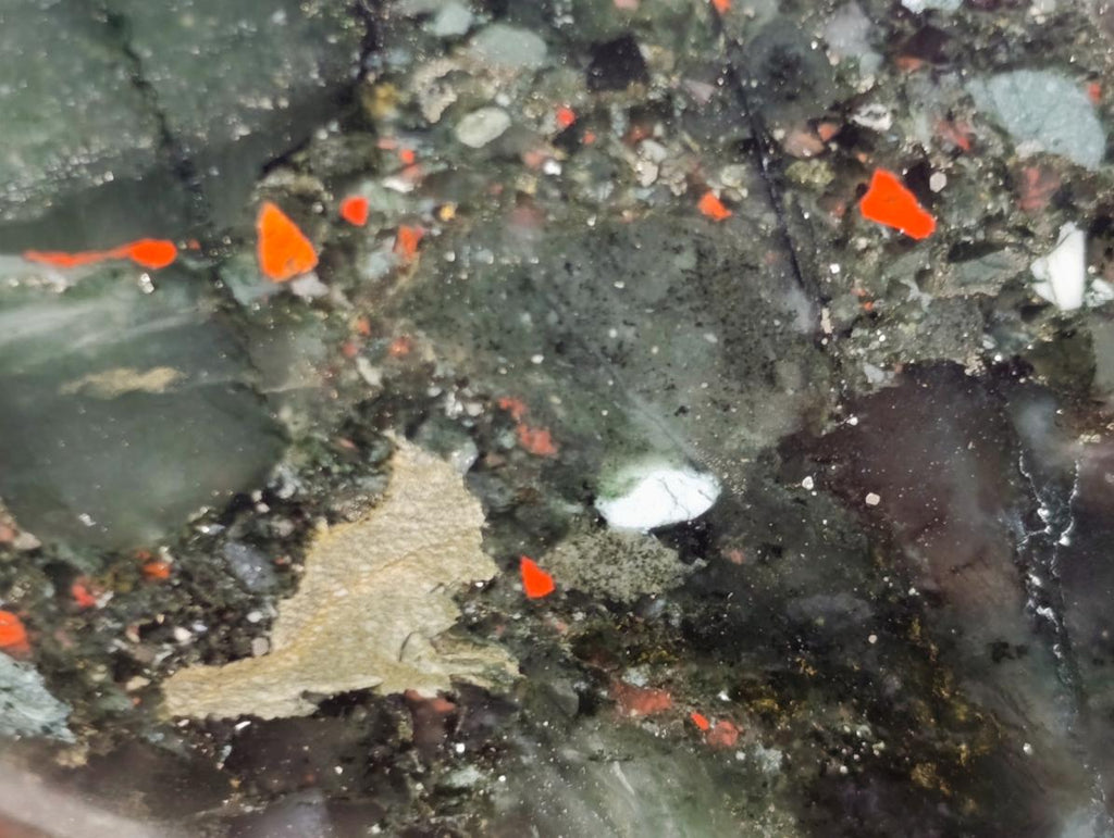 Polished Bloodstone Standing Free Forms x 2 From Swaziland - Toprock Gemstones and Minerals 
