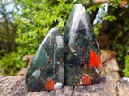 Polished Bloodstone Standing Free Forms x 2 From Swaziland - Toprock Gemstones and Minerals 