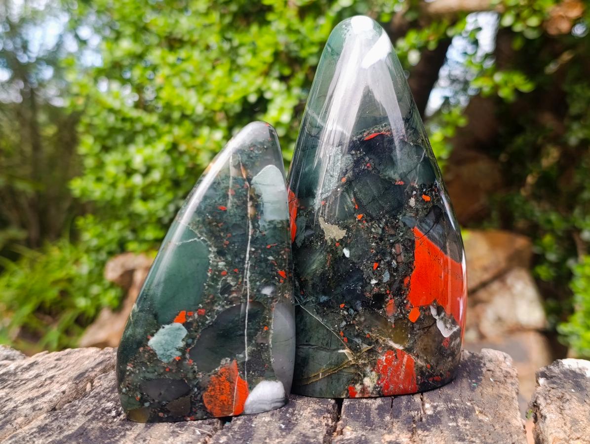Polished Bloodstone Standing Free Forms x 2 From Swaziland - Toprock Gemstones and Minerals 