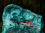 Natural Botryoidal Malachite Specimens x 2 From Congo - Toprock Gemstones and Minerals 