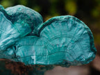 Natural Botryoidal Malachite Specimens x 2 From Congo - Toprock Gemstones and Minerals 