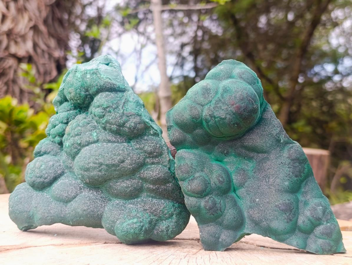 Natural Botryoidal Malachite Specimens x 2 From Congo - Toprock Gemstones and Minerals 