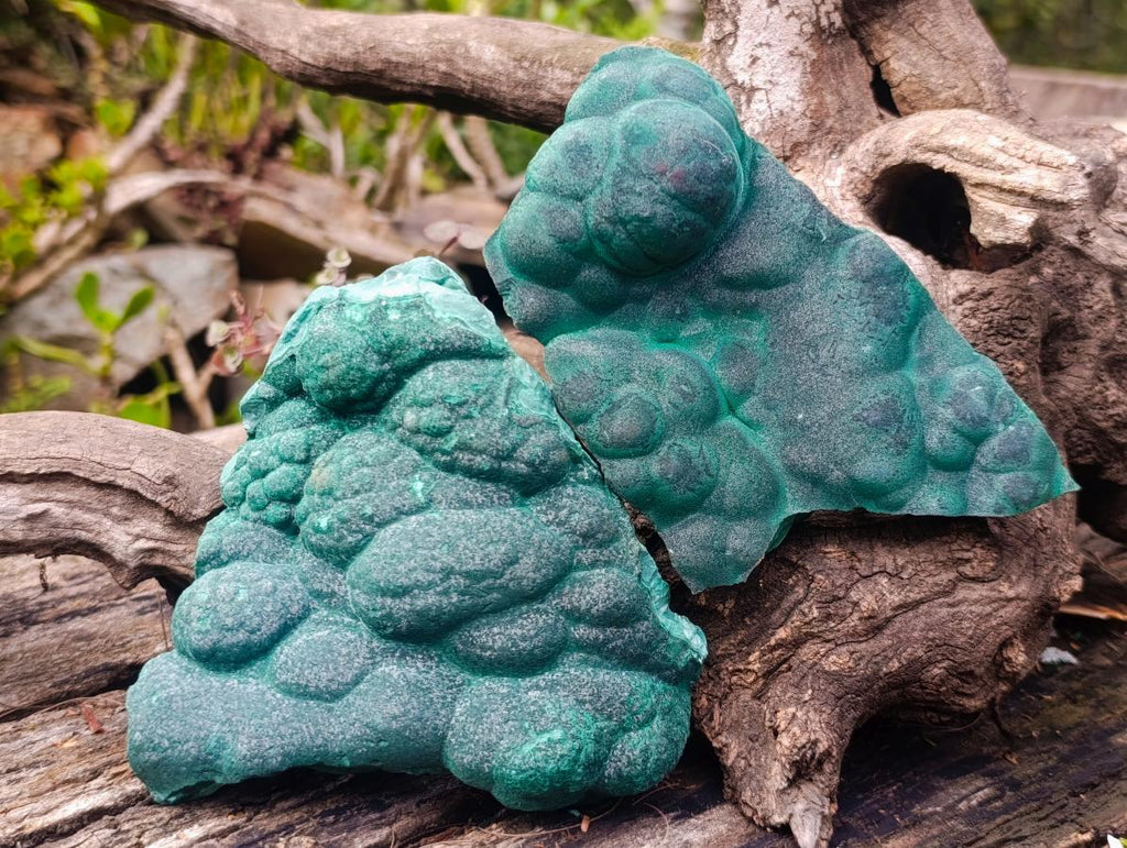 Natural Botryoidal Malachite Specimens x 2 From Congo - Toprock Gemstones and Minerals 