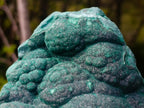 Natural Botryoidal Malachite Specimens x 2 From Congo - Toprock Gemstones and Minerals 