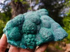 Natural Botryoidal Malachite Specimens x 2 From Congo - Toprock Gemstones and Minerals 