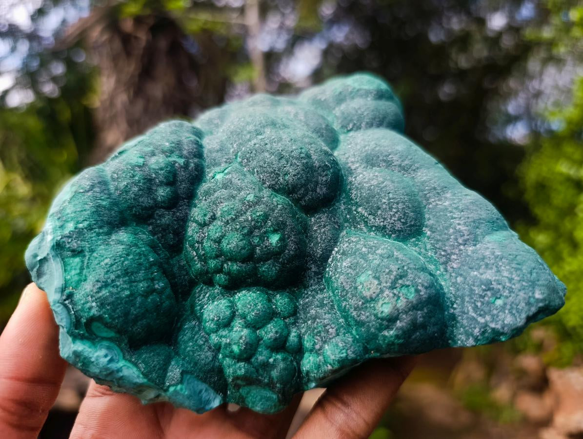 Natural Botryoidal Malachite Specimens x 2 From Congo