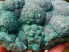 Natural Botryoidal Malachite Specimens x 2 From Congo - Toprock Gemstones and Minerals 