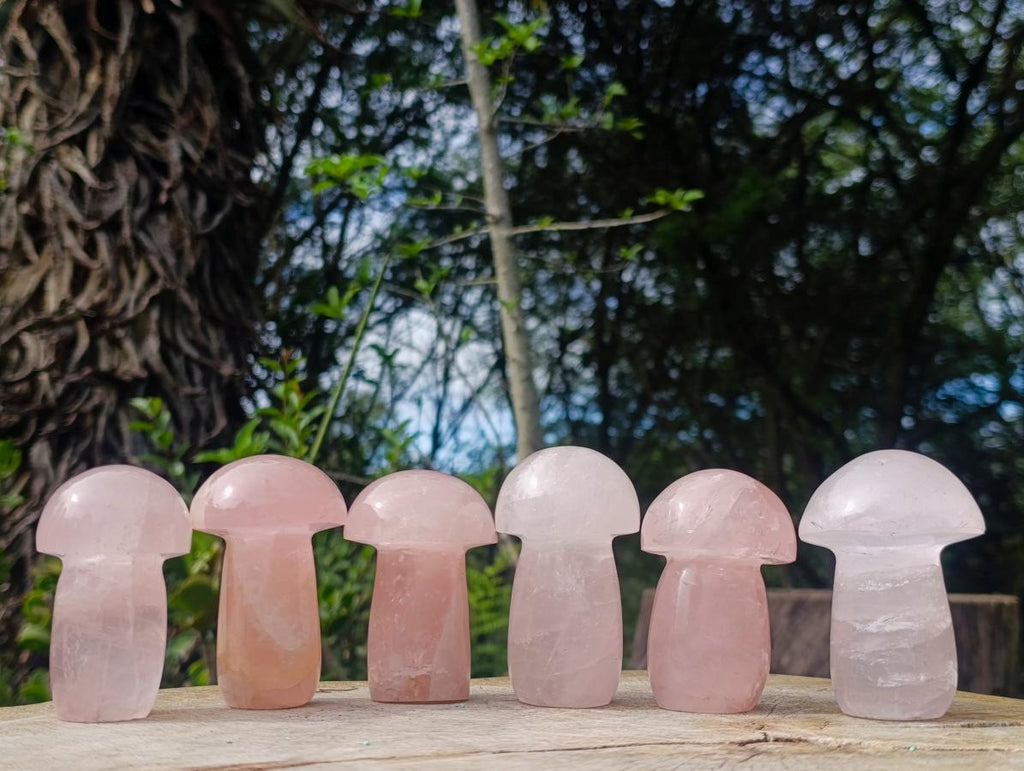 Polished Gemmy Rose Quartz Mushrooms x 6 From Madagascar - Toprock Gemstones and Minerals 