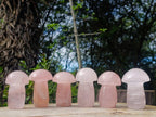 Polished Gemmy Rose Quartz Mushrooms x 6 From Madagascar - Toprock Gemstones and Minerals 