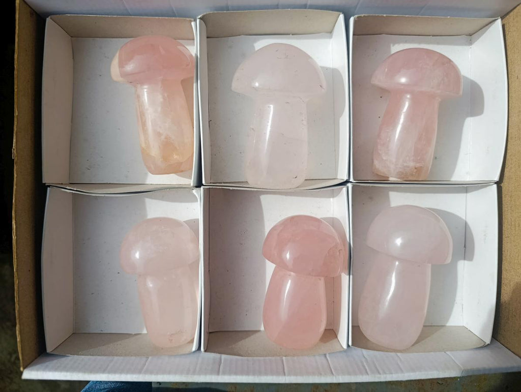 Polished Gemmy Rose Quartz Mushrooms x 6 From Madagascar - Toprock Gemstones and Minerals 