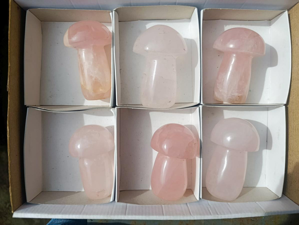 Polished Gemmy Rose Quartz Mushrooms x 6 From Madagascar - Toprock Gemstones and Minerals 