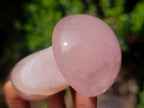 Polished Gemmy Rose Quartz Mushrooms x 6 From Madagascar - Toprock Gemstones and Minerals 