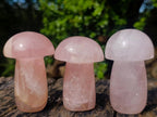 Polished Gemmy Rose Quartz Mushrooms x 6 From Madagascar - Toprock Gemstones and Minerals 