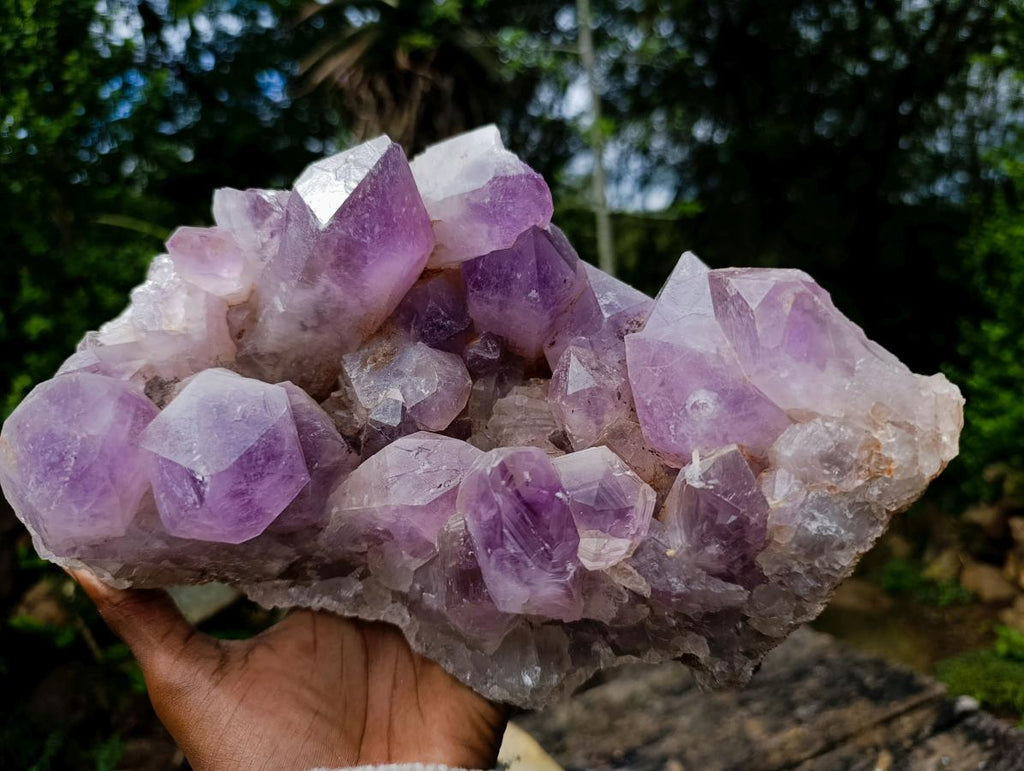 Natural XL Jacaranda Amethyst Crystal Cluster x 1 From Mumbwa, Zambia - Toprock Gemstones and Minerals 