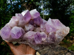 Natural XL Jacaranda Amethyst Crystal Cluster x 1 From Mumbwa, Zambia - Toprock Gemstones and Minerals 