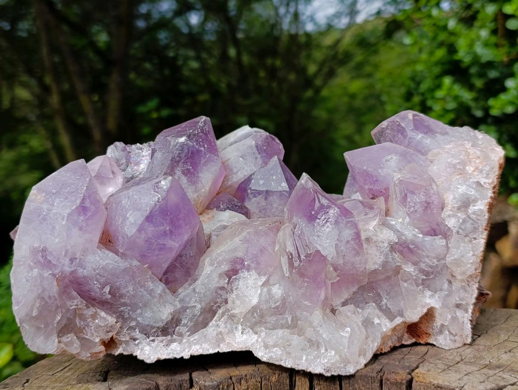 Natural XL Jacaranda Amethyst Crystal Cluster x 1 From Mumbwa, Zambia - Toprock Gemstones and Minerals 