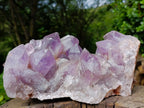 Natural XL Jacaranda Amethyst Crystal Cluster x 1 From Mumbwa, Zambia - Toprock Gemstones and Minerals 
