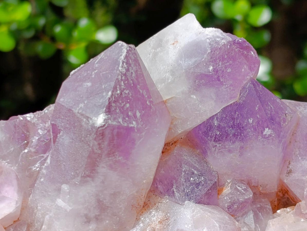 Natural XL Jacaranda Amethyst Crystal Cluster x 1 From Mumbwa, Zambia - Toprock Gemstones and Minerals 