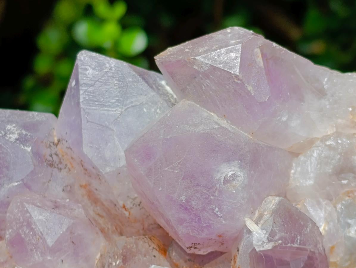 Natural XL Jacaranda Amethyst Crystal Cluster x 1 From Mumbwa, Zambia - Toprock Gemstones and Minerals 