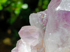 Natural XL Jacaranda Amethyst Crystal Cluster x 1 From Mumbwa, Zambia - Toprock Gemstones and Minerals 