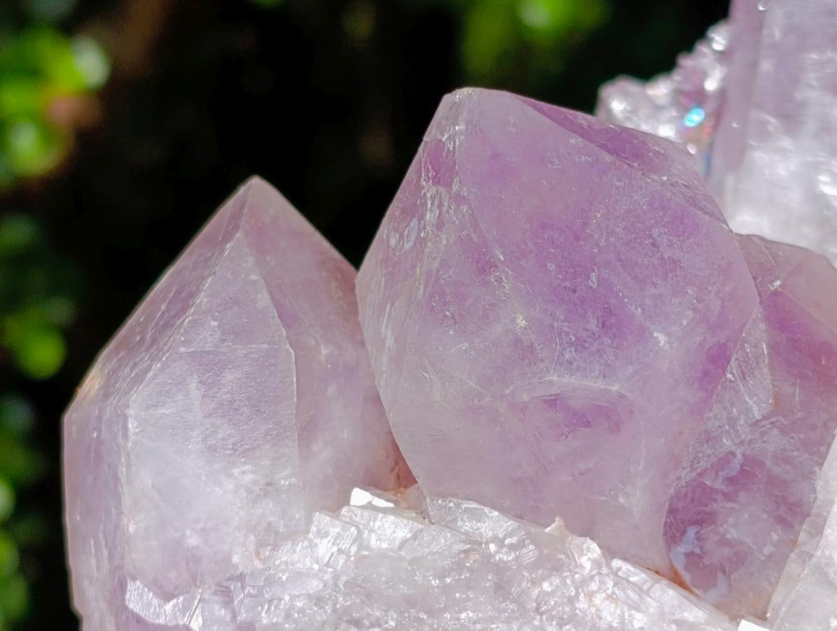 Natural XL Jacaranda Amethyst Crystal Cluster x 1 From Mumbwa, Zambia