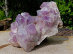 Natural XL Jacaranda Amethyst Crystal Cluster x 1 From Mumbwa, Zambia - Toprock Gemstones and Minerals 