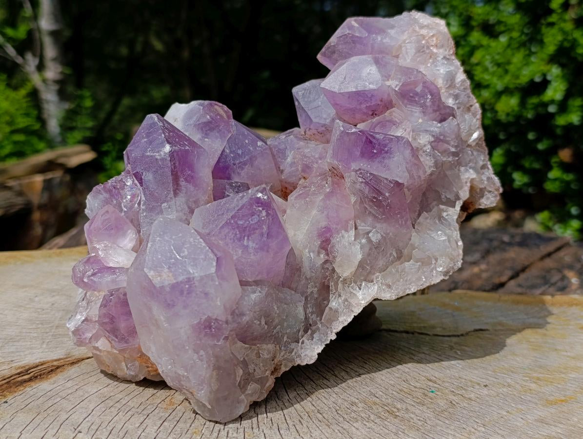 Natural XL Jacaranda Amethyst Crystal Cluster x 1 From Mumbwa, Zambia - Toprock Gemstones and Minerals 