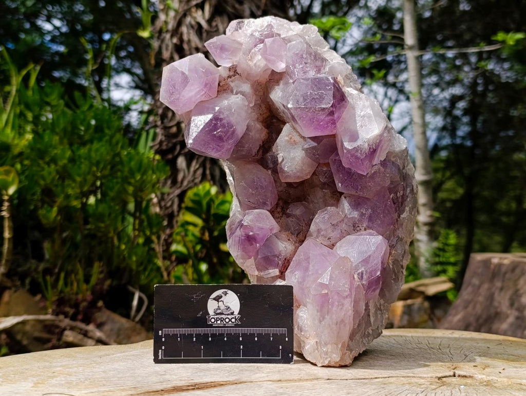 Natural XL Jacaranda Amethyst Crystal Cluster x 1 From Mumbwa, Zambia - Toprock Gemstones and Minerals 
