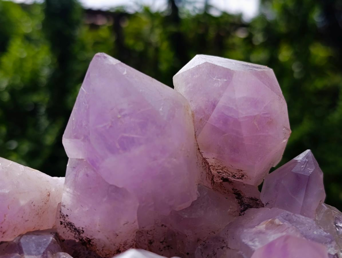 Natural XL Jacaranda Amethyst Crystal Cluster x 1 From Mumbwa, Zambia - Toprock Gemstones and Minerals 