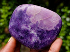 Polished Lepidolite Palm Stones x 12 From Zimbabwe - Toprock Gemstones and Minerals 