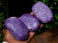 Polished Lepidolite Palm Stones x 12 From Zimbabwe - Toprock Gemstones and Minerals 