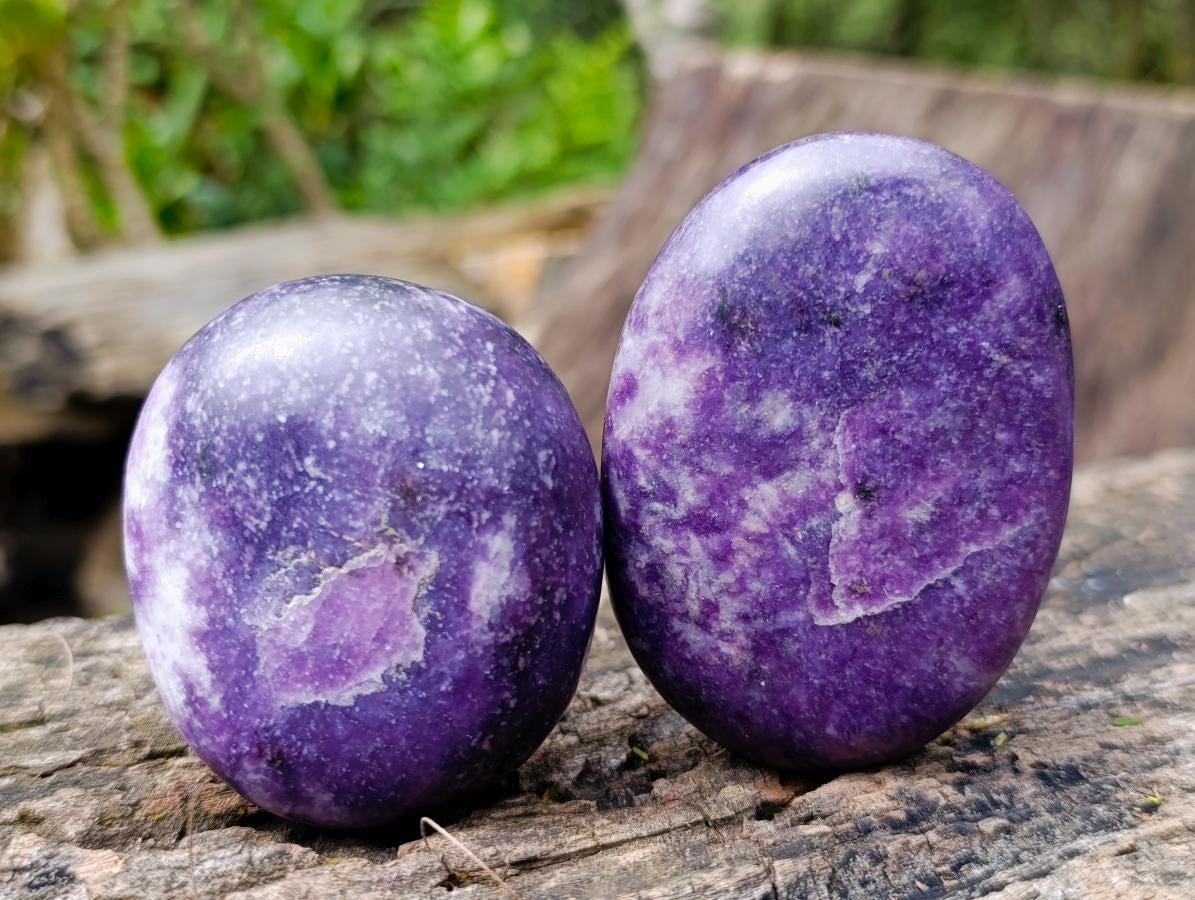 Polished Lepidolite Palm Stones x 12 From Zimbabwe - Toprock Gemstones and Minerals 