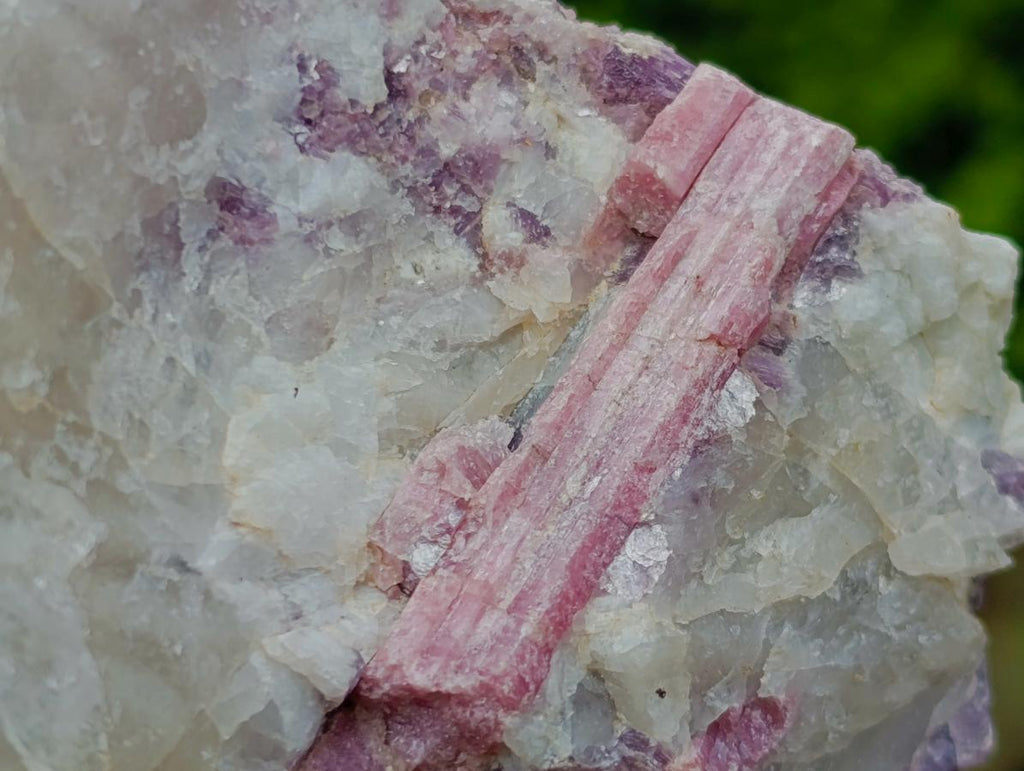 Natural Pink Rubellite Tourmaline Specimens x 2 From Karibib, Namibia - Toprock Gemstones and Minerals 
