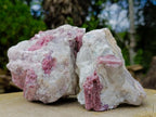 Natural Pink Rubellite Tourmaline Specimens x 2 From Karibib, Namibia - Toprock Gemstones and Minerals 