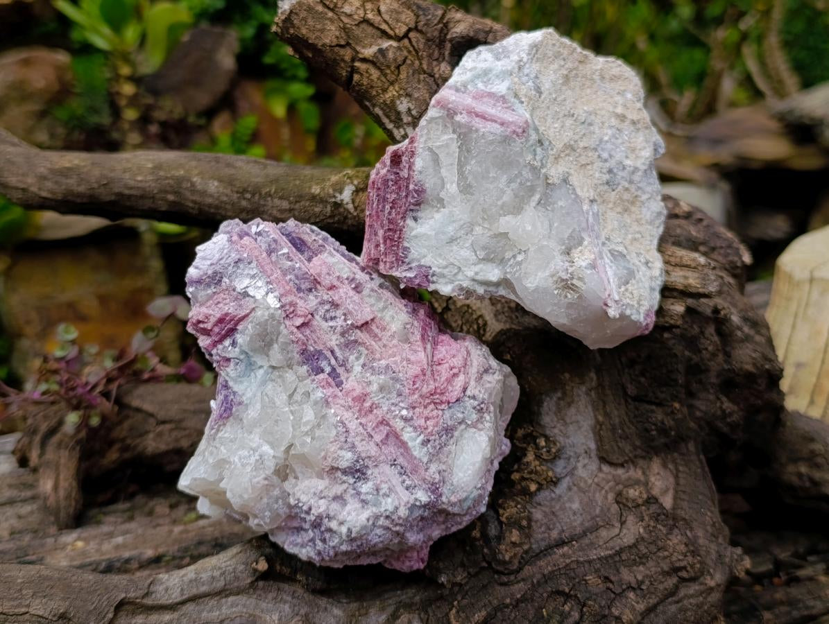 Natural Pink Rubellite Tourmaline Specimens x 2 From Karibib, Namibia - Toprock Gemstones and Minerals 