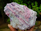 Natural Pink Rubellite Tourmaline Specimens x 2 From Karibib, Namibia - Toprock Gemstones and Minerals 